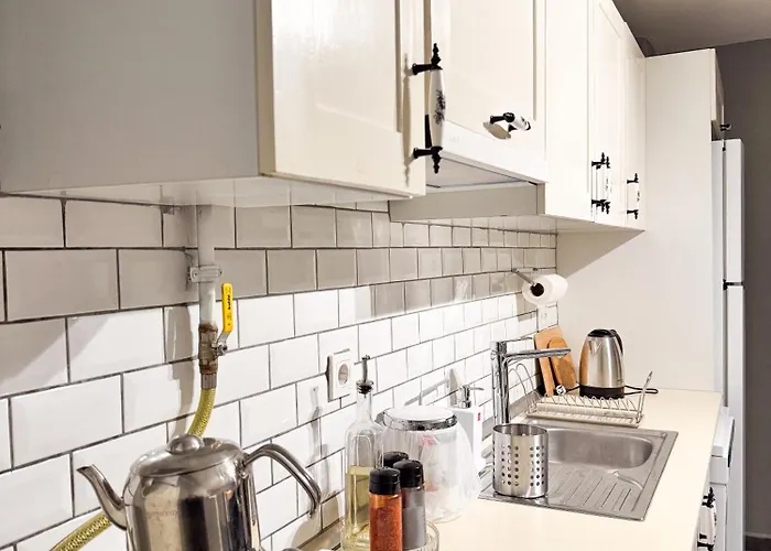 Modern Furnished Historical House