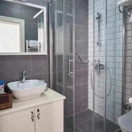 Modern Furnished Historical Building Villa Istanboel