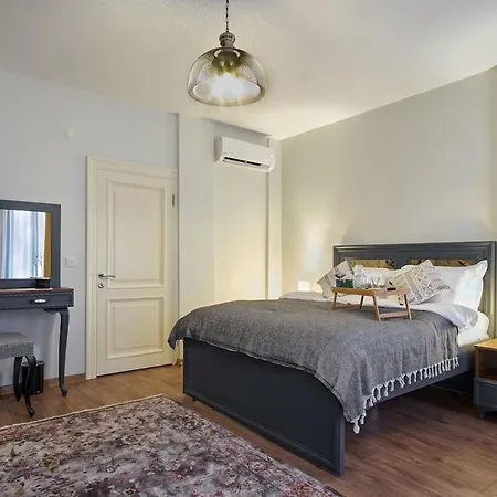 别墅 Modern Furnished Historical Building