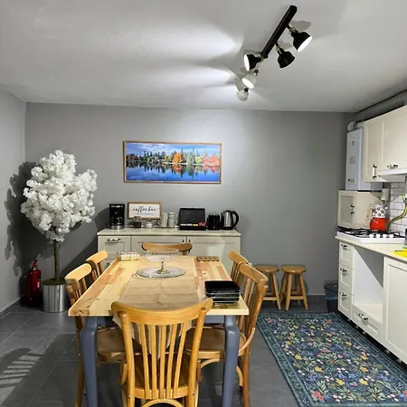 Modern Furnished Historical House