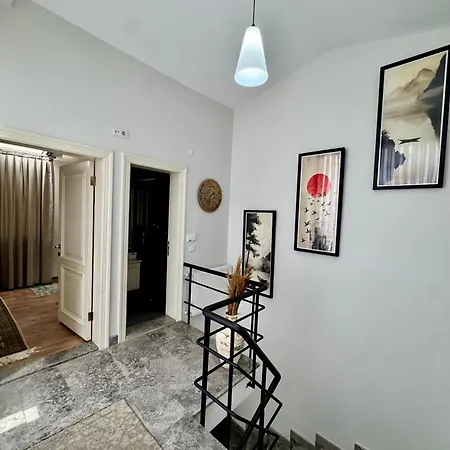 Modern Furnished Historical House Istambul