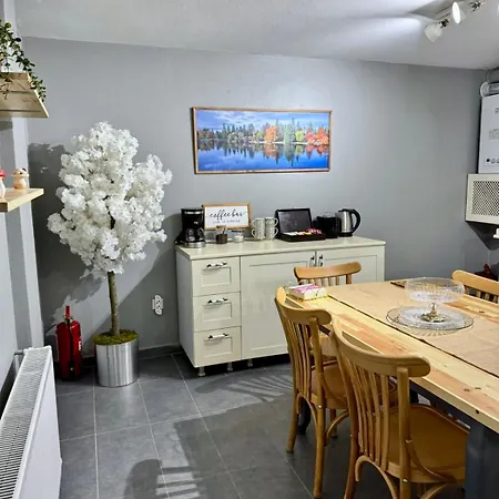 Modern Furnished Historical House *