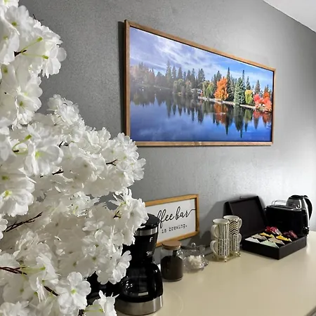 Modern Furnished Historical House *