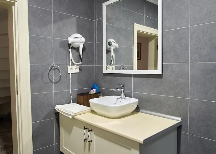 Modern Furnished Historical House