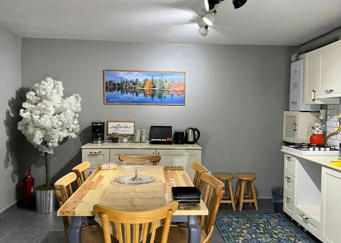 Modern Furnished Historical House