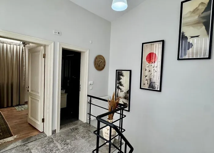 Modern Furnished Historical House Istambul