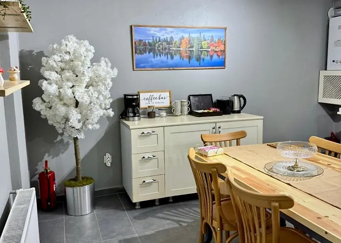 Modern Furnished Historical House *