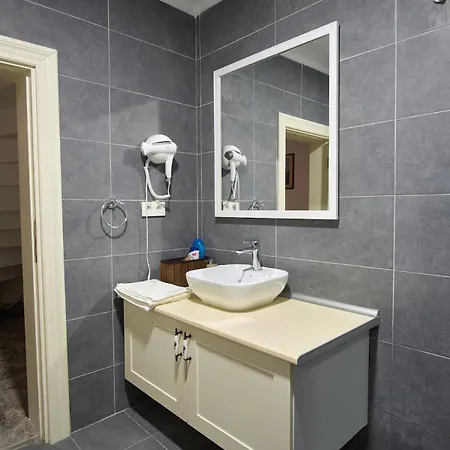 Modern Furnished Historical House