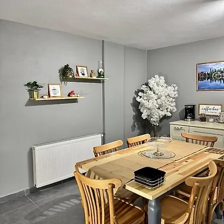 Modern Furnished Historical House *